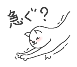 9033196