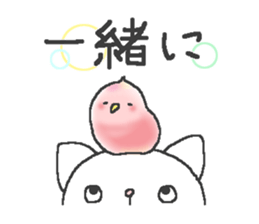 9033205
