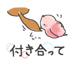 9033207