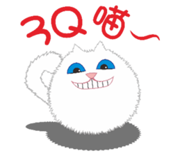 9036690