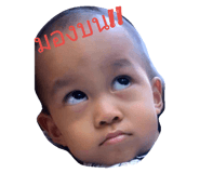90478542