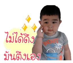 90486942