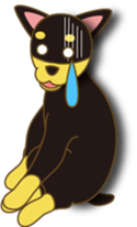 905007