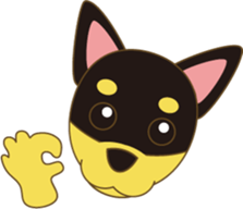 905014