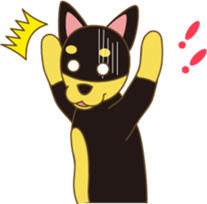 905016