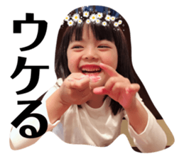 90534044
