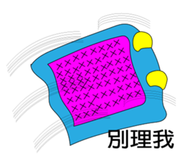 9058446