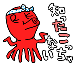 9058686