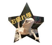 90596751
