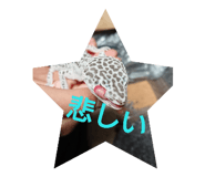 90596757