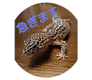 90596760