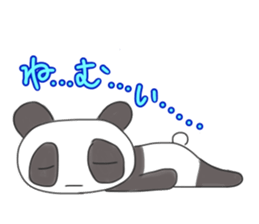 9060277