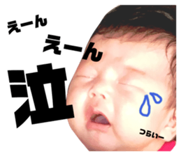 90603523