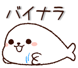 9060877