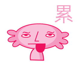 9062660