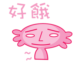 9062661