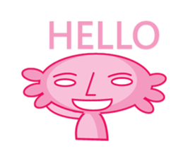 9062663