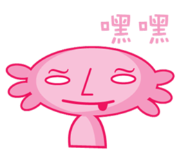 9062664