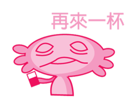 9062665