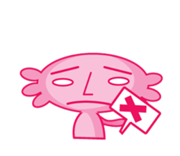 9062678