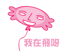 9062681