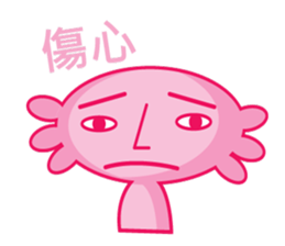 9062692