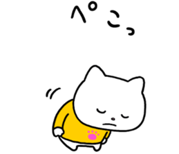 90629956