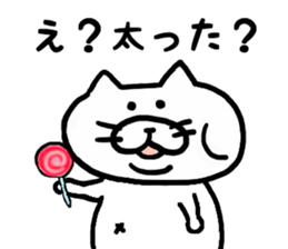9065853