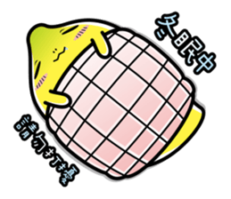 9070349