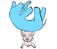 90808623