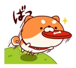 9086065