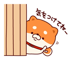 9086077