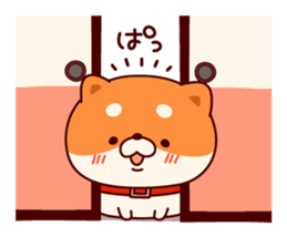 9086086
