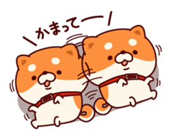 9086087