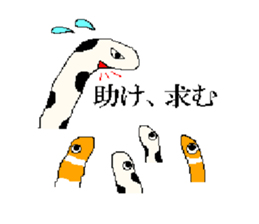 9097444