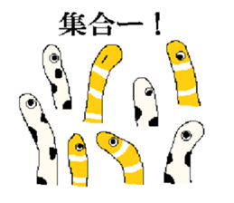 9097457