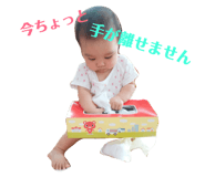 91006902