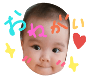 91006908