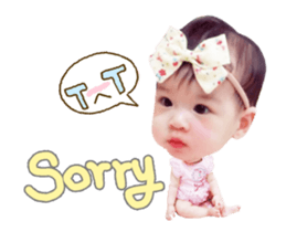 91041152
