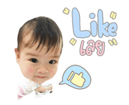 91041155