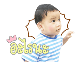 91041663