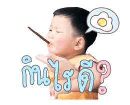 91042036