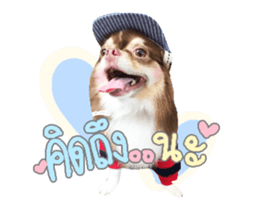 91042313