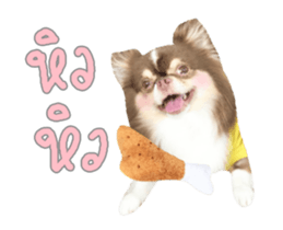 91042323