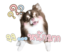 91042327