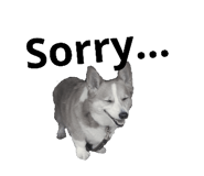 91042625