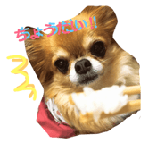 91050251