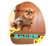 91050252