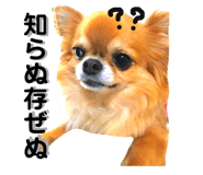 91050253