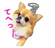 91050255